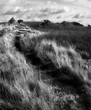 Island Path, Star Island
