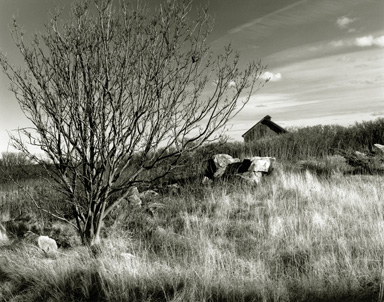Fading in the Grass